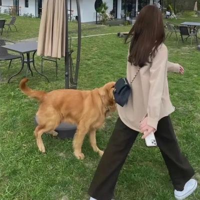 非关性爱